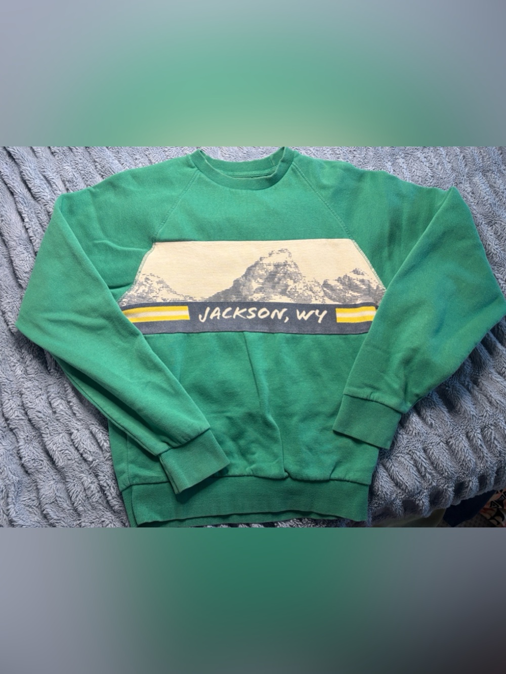 BDG Green Crewneck Sweatshirt with Jackson WY Mountain Graphic